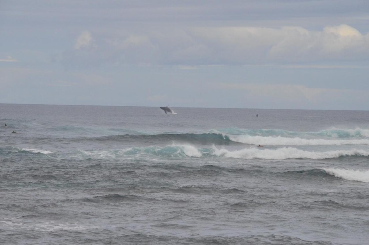 Mokule'Ia Beach Houses At Owen'S Retreat Waialua Екстер'єр фото
